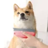 Effective dog hair remover roller designed to pick up pet hair from clothing and furniture
